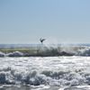 Photos: NY & NJ Surfers Tackle Waves From Hurricanes Irma And Jose